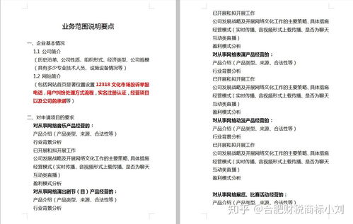 合肥市网络文化经营许可证办理全指南 条件、材料与流程详解